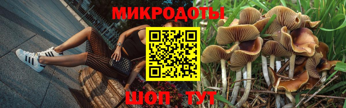 Северск  где найти   Вход с VPN  Псилоцибиновые грибы ЛСД 