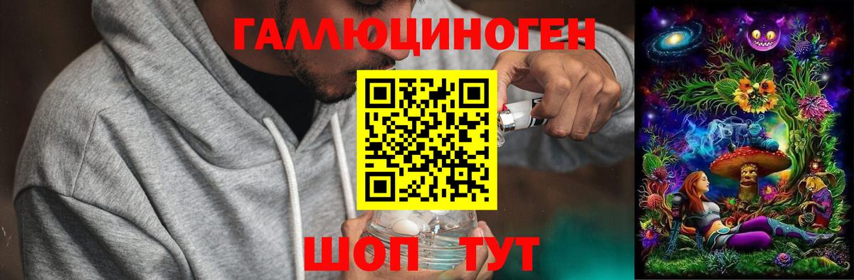 Псилоцибиновые грибы мухоморы Северск